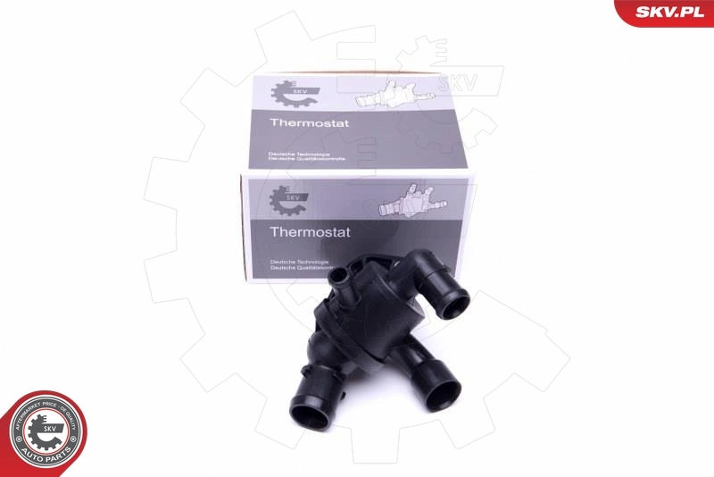 Thermostat, coolant